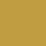 4541 Gold