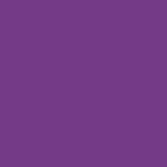 522 VIOLET