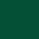 533 FOREST GREEN