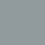 5569 Mouse Grey