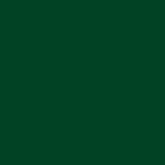 916 Dark Green