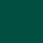 945 Golf Green
