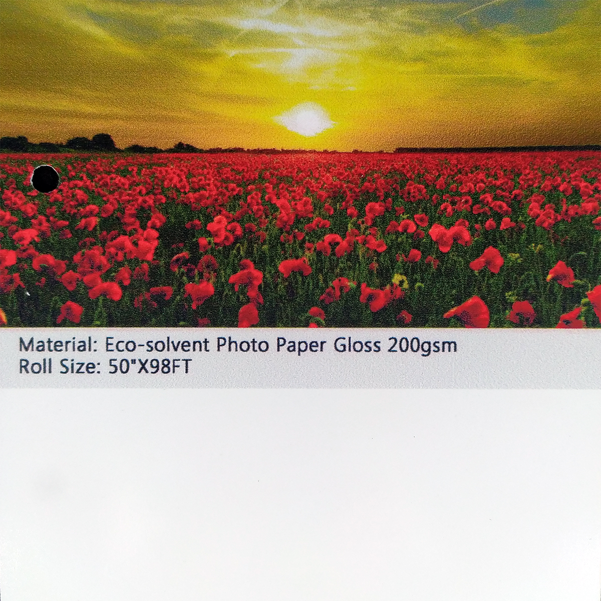 Eco-solvent Photo Paper Gloss 200gsm
