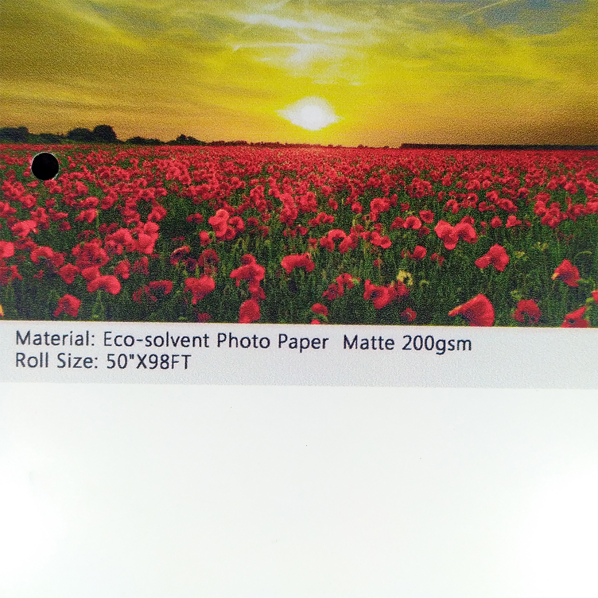 Eco-solvent Photo Paper Matte 200gsm