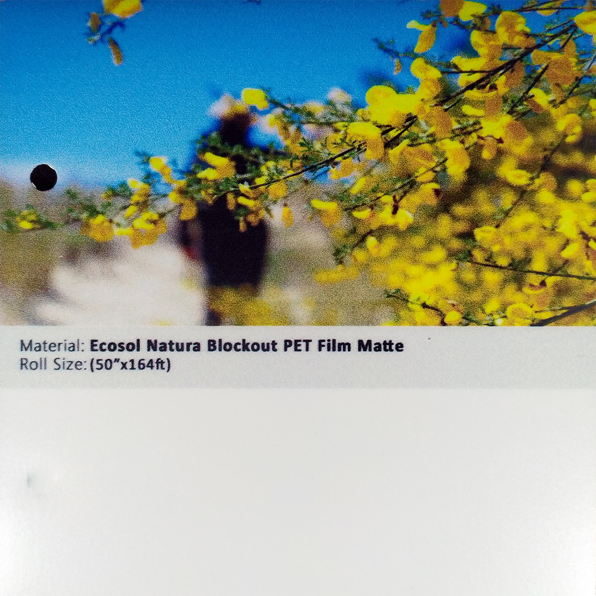 Ecosol Natura Blockout PET Film Matte