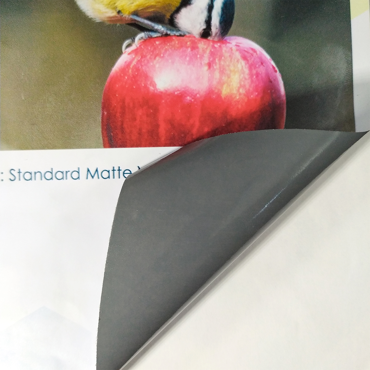 Standar Matte Vinyl Grey Back-2