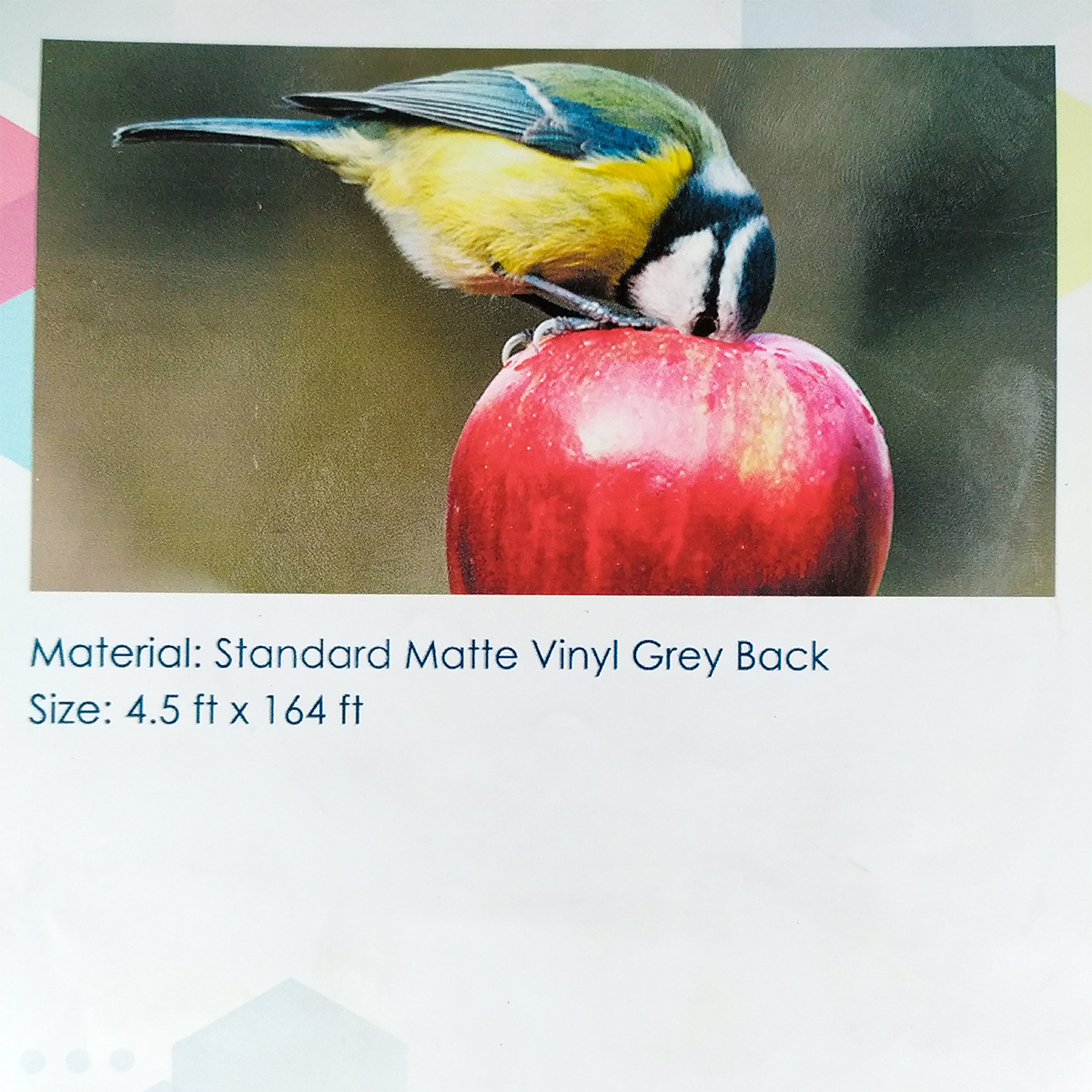 Standar Matte Vinyl Grey Back