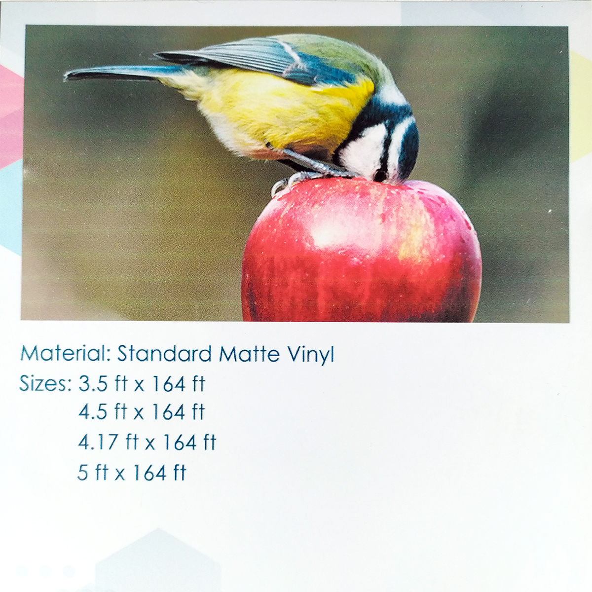 Standard Matte Vinyl