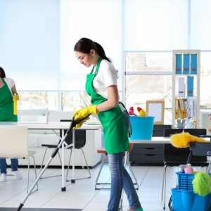 Cleaning Carts